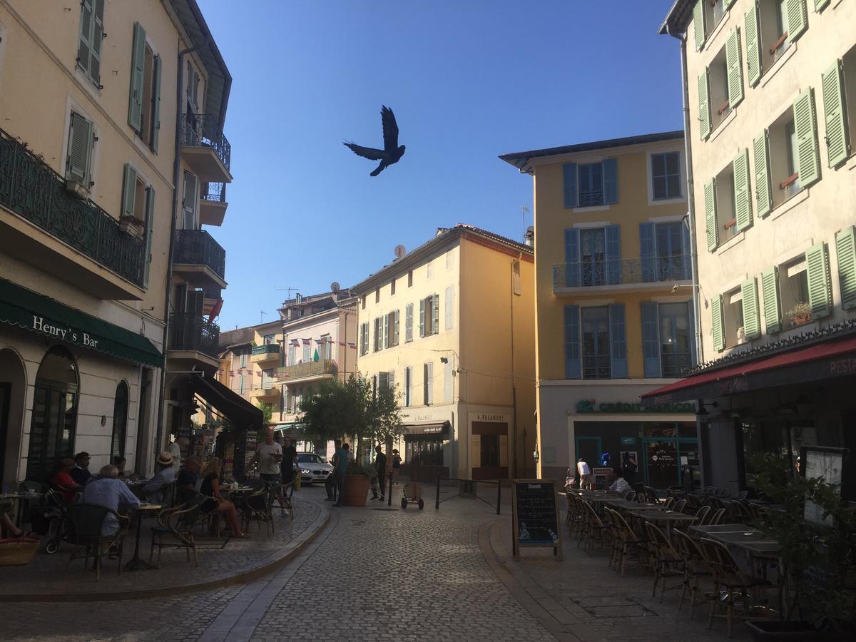Villa Rocamar Vence Exteriér fotografie